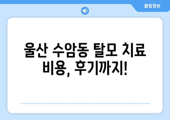 울산시 남구 수암동 모바일식 탈모치료 잘하는곳 두피관리 추천 베스트 헤어라인 정수리 비용 후기
