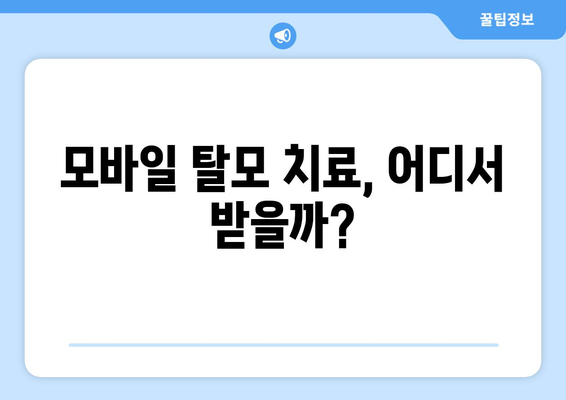 전라북도 순창군 쌍치면 모바일식 탈모치료 잘하는곳 두피관리 추천 베스트 헤어라인 정수리 비용 후기