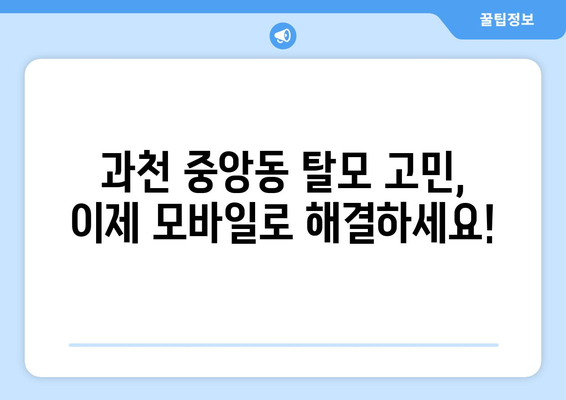 경기도 과천시 중앙동 모바일식 탈모치료 잘하는곳 두피관리 추천 베스트 헤어라인 정수리 비용 후기