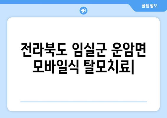 전라북도 임실군 운암면 모바일식 탈모치료 잘하는곳 두피관리 추천 베스트 헤어라인 정수리 비용 후기