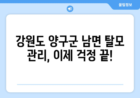 강원도 양구군 남면 모바일식 탈모치료 잘하는곳 두피관리 추천 베스트 헤어라인 정수리 비용 후기