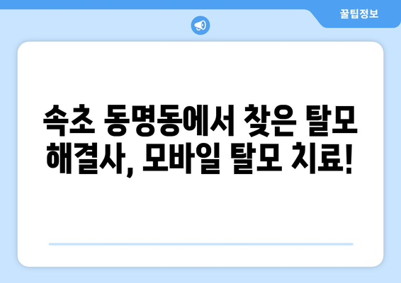 강원도 속초시 동명동 모바일식 탈모치료 잘하는곳 두피관리 추천 베스트 헤어라인 정수리 비용 후기