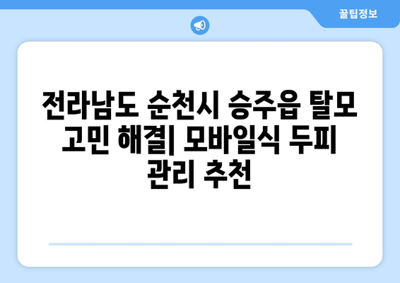 전라남도 순천시 승주읍 모바일식 탈모치료 잘하는곳 두피관리 추천 베스트 헤어라인 정수리 비용 후기