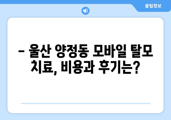 울산시 북구 양정동 모바일식 탈모치료 잘하는곳 두피관리 추천 베스트 헤어라인 정수리 비용 후기