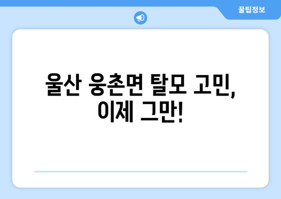 울산시 울주군 웅촌면 모바일식 탈모치료 잘하는곳 두피관리 추천 베스트 헤어라인 정수리 비용 후기