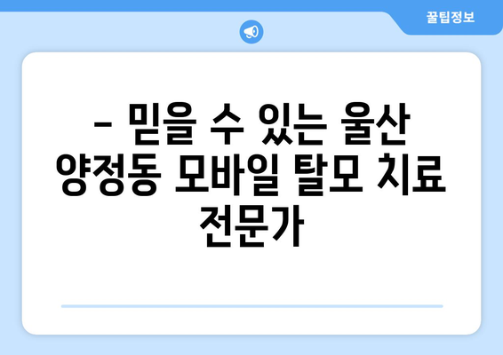 울산시 북구 양정동 모바일식 탈모치료 잘하는곳 두피관리 추천 베스트 헤어라인 정수리 비용 후기