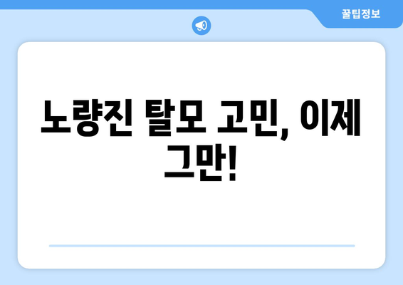 서울시 동작구 노량진제1동 모바일식 탈모치료 잘하는곳 두피관리 추천 베스트 헤어라인 정수리 비용 후기