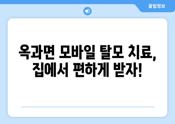 전라남도 곡성군 옥과면 모바일식 탈모치료 잘하는곳 두피관리 추천 베스트 헤어라인 정수리 비용 후기
