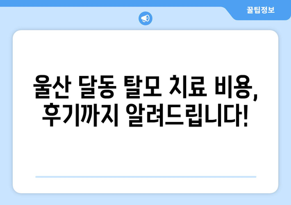 울산시 남구 달동 모바일식 탈모치료 잘하는곳 두피관리 추천 베스트 헤어라인 정수리 비용 후기