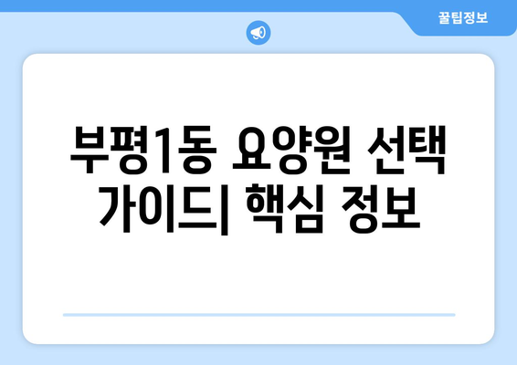 인천시 부평구 부평1동 요양원 추천 BEST 안내 반드시 알아야 할 꿀팁 정보