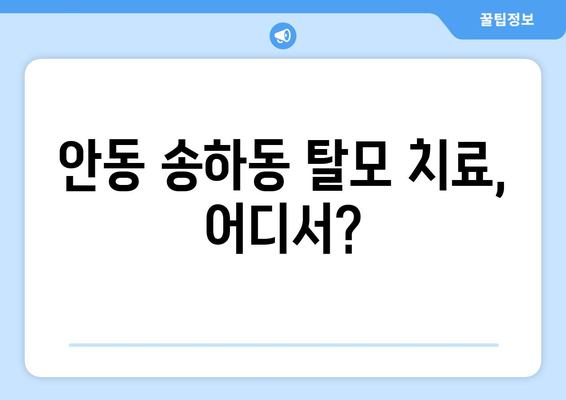 경상북도 안동시 송하동 모바일식 탈모치료 잘하는곳 두피관리 추천 베스트 헤어라인 정수리 비용 후기