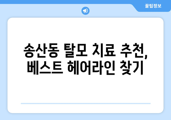 제주도 서귀포시 송산동 모바일식 탈모치료 잘하는곳 두피관리 추천 베스트 헤어라인 정수리 비용 후기