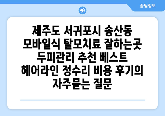 제주도 서귀포시 송산동 모바일식 탈모치료 잘하는곳 두피관리 추천 베스트 헤어라인 정수리 비용 후기