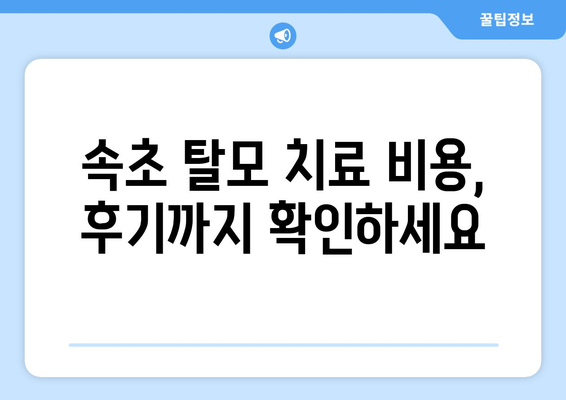 강원도 속초시 금호동 모바일식 탈모치료 잘하는곳 두피관리 추천 베스트 헤어라인 정수리 비용 후기