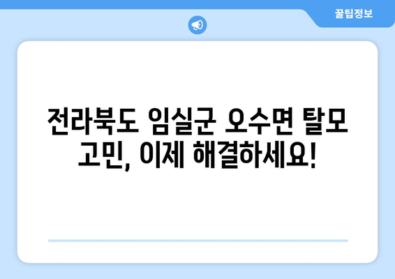 전라북도 임실군 오수면 모바일식 탈모치료 잘하는곳 두피관리 추천 베스트 헤어라인 정수리 비용 후기