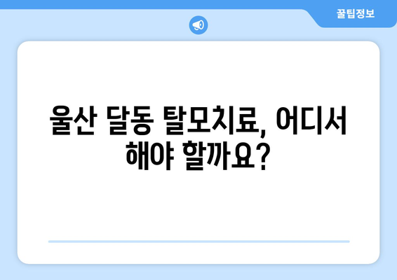 울산시 남구 달동 모바일식 탈모치료 잘하는곳 두피관리 추천 베스트 헤어라인 정수리 비용 후기
