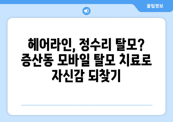 서울시 은평구 증산동 모바일식 탈모치료 잘하는곳 두피관리 추천 베스트 헤어라인 정수리 비용 후기