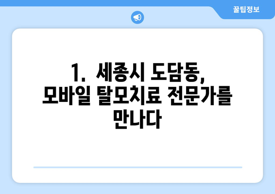 세종시 세종특별자치시 도담동 모바일식 탈모치료 잘하는곳 두피관리 추천 베스트 헤어라인 정수리 비용 후기