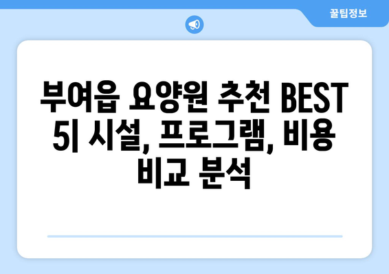 충청남도 부여군 부여읍 요양원 추천 BEST 안내 반드시 알아야 할 꿀팁 정보