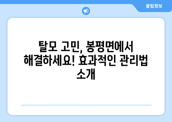 강원도 평창군 봉평면 모바일식 탈모치료 잘하는곳 두피관리 추천 베스트 헤어라인 정수리 비용 후기