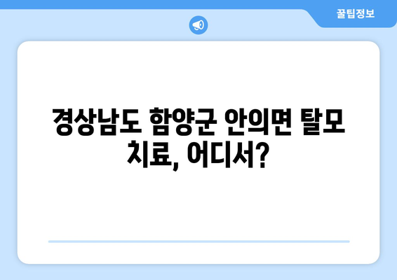 경상남도 함양군 안의면 모바일식 탈모치료 잘하는곳 두피관리 추천 베스트 헤어라인 정수리 비용 후기