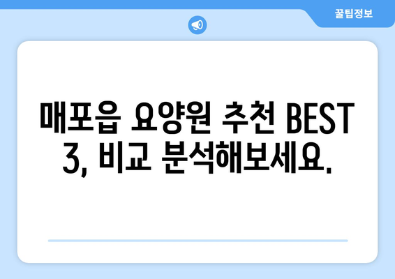 충청북도 단양군 매포읍 요양원 추천 BEST 안내 반드시 알아야 할 꿀팁 정보