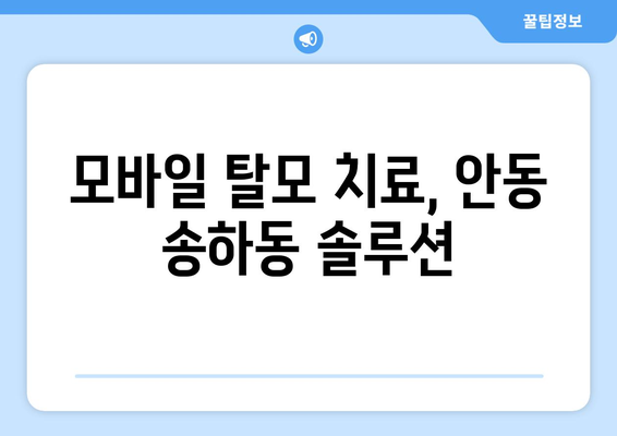경상북도 안동시 송하동 모바일식 탈모치료 잘하는곳 두피관리 추천 베스트 헤어라인 정수리 비용 후기
