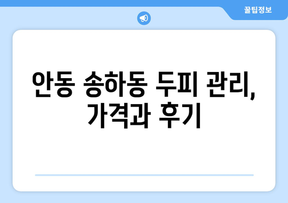 경상북도 안동시 송하동 모바일식 탈모치료 잘하는곳 두피관리 추천 베스트 헤어라인 정수리 비용 후기
