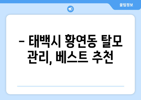 강원도 태백시 황연동 모바일식 탈모치료 잘하는곳 두피관리 추천 베스트 헤어라인 정수리 비용 후기