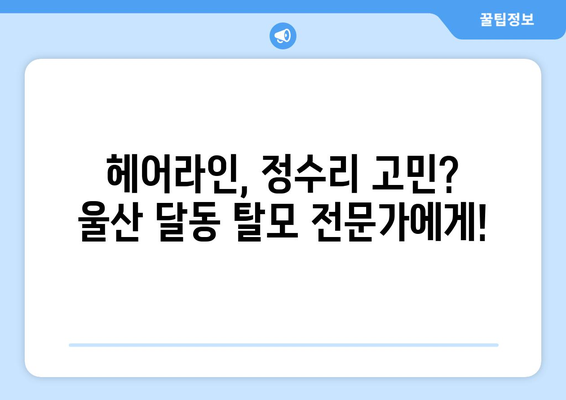 울산시 남구 달동 모바일식 탈모치료 잘하는곳 두피관리 추천 베스트 헤어라인 정수리 비용 후기