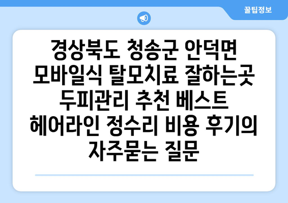 경상북도 청송군 안덕면 모바일식 탈모치료 잘하는곳 두피관리 추천 베스트 헤어라인 정수리 비용 후기
