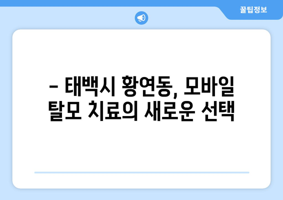 강원도 태백시 황연동 모바일식 탈모치료 잘하는곳 두피관리 추천 베스트 헤어라인 정수리 비용 후기