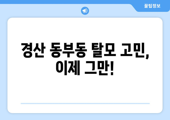 경상북도 경산시 동부동 모바일식 탈모치료 잘하는곳 두피관리 추천 베스트 헤어라인 정수리 비용 후기