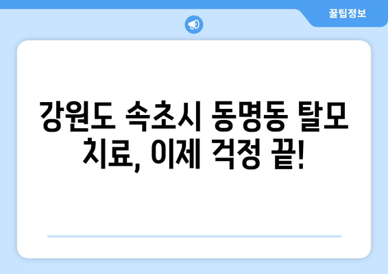 강원도 속초시 동명동 모바일식 탈모치료 잘하는곳 두피관리 추천 베스트 헤어라인 정수리 비용 후기