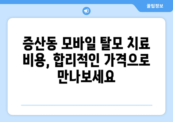 서울시 은평구 증산동 모바일식 탈모치료 잘하는곳 두피관리 추천 베스트 헤어라인 정수리 비용 후기