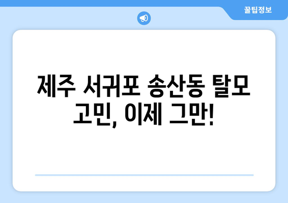 제주도 서귀포시 송산동 모바일식 탈모치료 잘하는곳 두피관리 추천 베스트 헤어라인 정수리 비용 후기