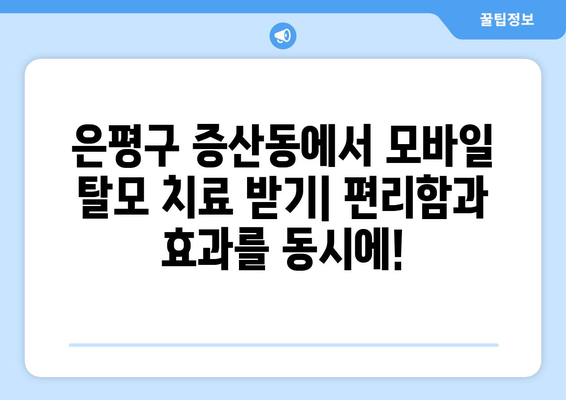 서울시 은평구 증산동 모바일식 탈모치료 잘하는곳 두피관리 추천 베스트 헤어라인 정수리 비용 후기