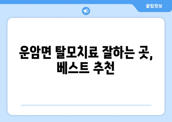 전라북도 임실군 운암면 모바일식 탈모치료 잘하는곳 두피관리 추천 베스트 헤어라인 정수리 비용 후기