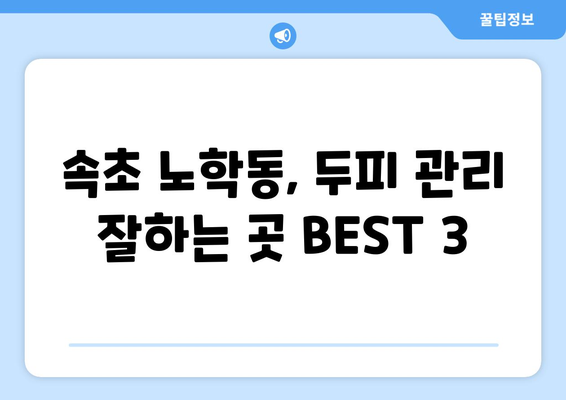 강원도 속초시 노학동 모바일식 탈모치료 잘하는곳 두피관리 추천 베스트 헤어라인 정수리 비용 후기