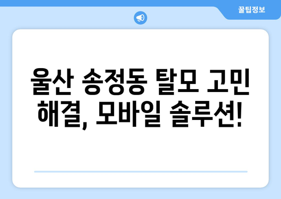 울산시 북구 송정동 모바일식 탈모치료 잘하는곳 두피관리 추천 베스트 헤어라인 정수리 비용 후기