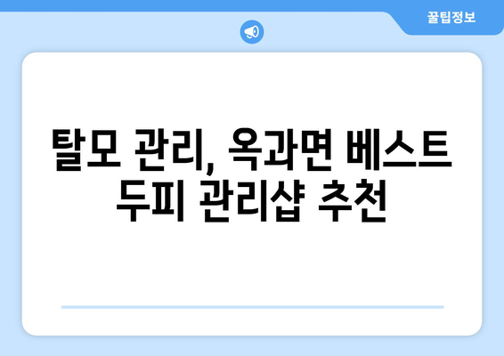 전라남도 곡성군 옥과면 모바일식 탈모치료 잘하는곳 두피관리 추천 베스트 헤어라인 정수리 비용 후기