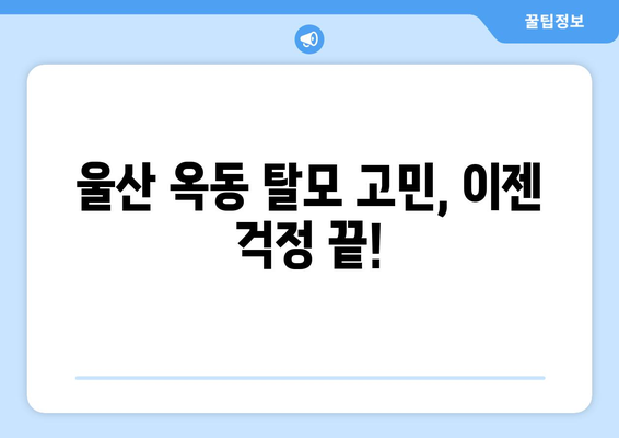 울산시 남구 옥동 모바일식 탈모치료 잘하는곳 두피관리 추천 베스트 헤어라인 정수리 비용 후기