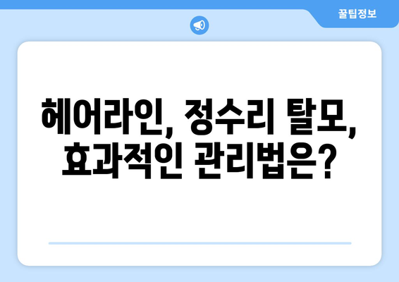 강원도 철원군 철원읍 모바일식 탈모치료 잘하는곳 두피관리 추천 베스트 헤어라인 정수리 비용 후기
