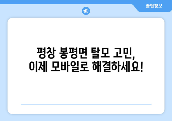 강원도 평창군 봉평면 모바일식 탈모치료 잘하는곳 두피관리 추천 베스트 헤어라인 정수리 비용 후기