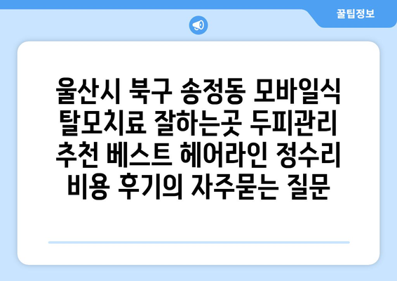 울산시 북구 송정동 모바일식 탈모치료 잘하는곳 두피관리 추천 베스트 헤어라인 정수리 비용 후기
