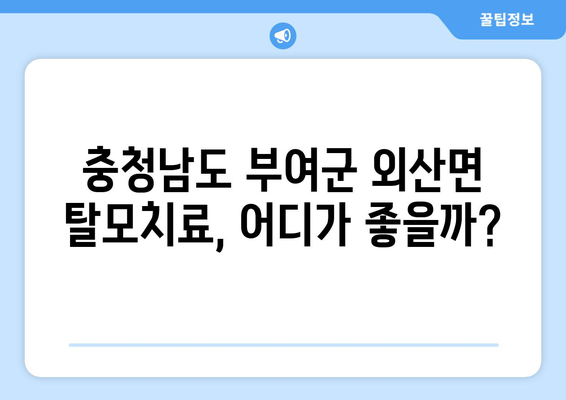 충청남도 부여군 외산면 모바일식 탈모치료 잘하는곳 두피관리 추천 베스트 헤어라인 정수리 비용 후기