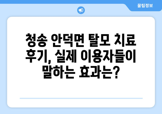 경상북도 청송군 안덕면 모바일식 탈모치료 잘하는곳 두피관리 추천 베스트 헤어라인 정수리 비용 후기