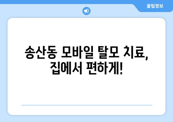 제주도 서귀포시 송산동 모바일식 탈모치료 잘하는곳 두피관리 추천 베스트 헤어라인 정수리 비용 후기