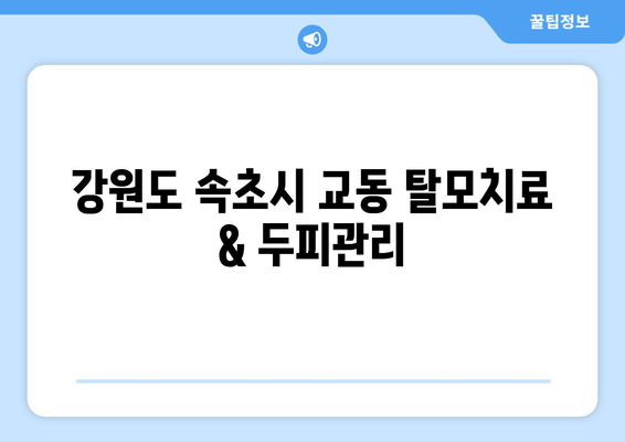 강원도 속초시 교동 모바일식 탈모치료 잘하는곳 두피관리 추천 베스트 헤어라인 정수리 비용 후기