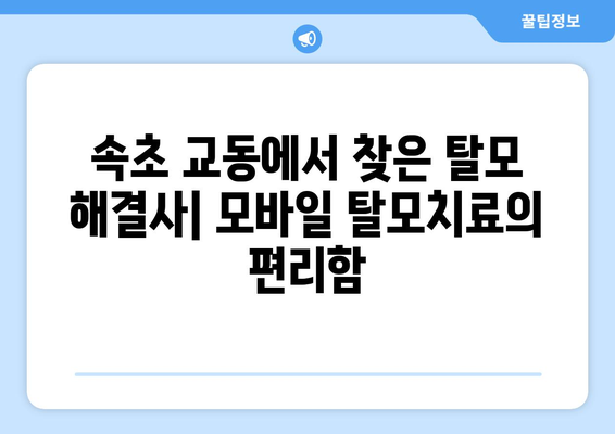강원도 속초시 교동 모바일식 탈모치료 잘하는곳 두피관리 추천 베스트 헤어라인 정수리 비용 후기